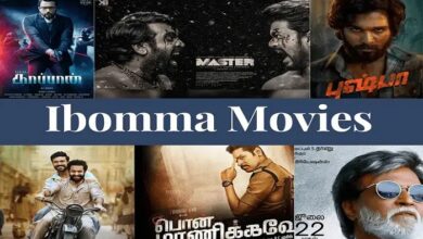 iBomma Movies in Telugu 2022