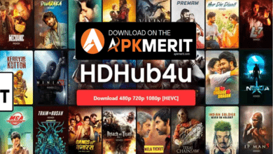 hd hub 4 u movies