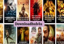 Downloadhub4u 300MB