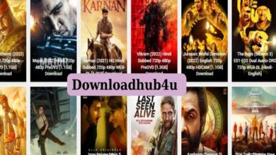 Downloadhub4u 300MB