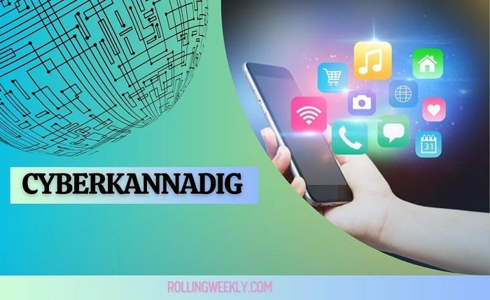 cyberkannadig