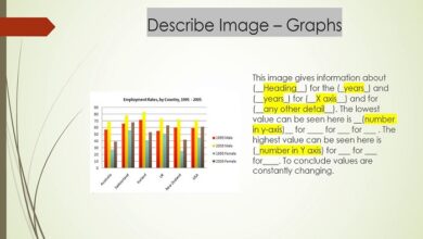 describe image pte template apeuni