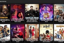 downloadhub4u 300mb movies