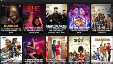 downloadhub4u 300mb movies