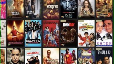 downloadhub4u bollywood movies