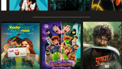 downloadhub4u movies hindi dubbed download