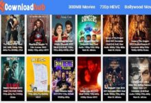 Downloadhub4u 2022