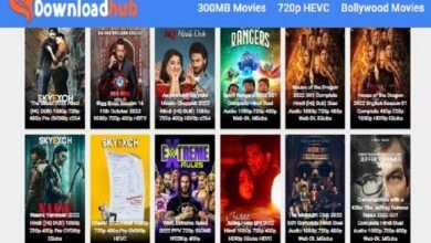 Downloadhub4u 2022