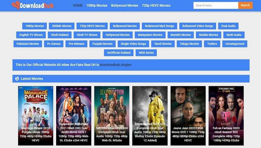 Downloadhub Company Movies Download