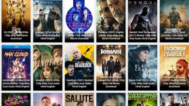 downloadhub4u 300mb movies