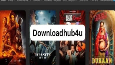 downloadhub4u skin