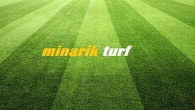 minarik turf