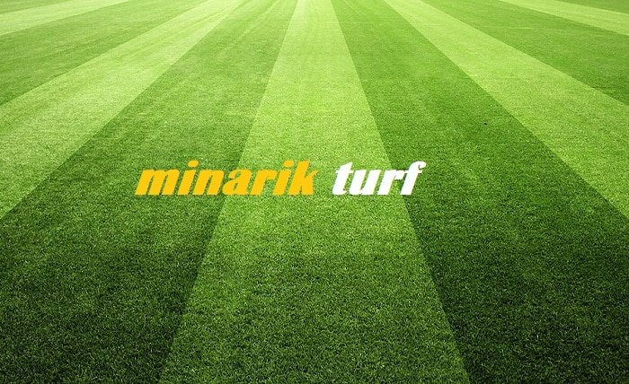 minarik turf