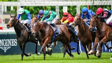 pmumalin derniere minute base incontournable quinte