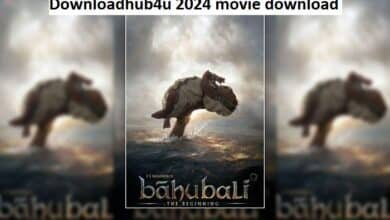 downloadhub4u 2024 movie download