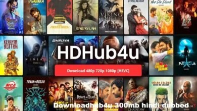 downloadhub4u 300mb hindi dubbed