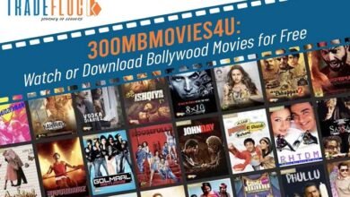 downloadhub4u 300mb hindi dubbed movies