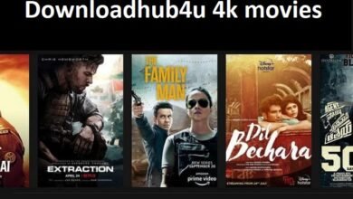 downloadhub4u 4k movies download