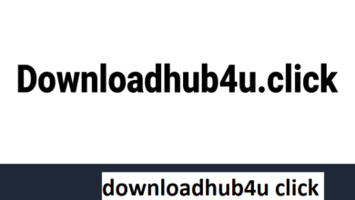 downloadhub4u click