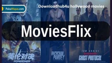 downloadhub4u hollywood movies