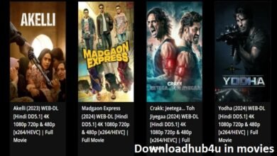 downloadhub4u in movies