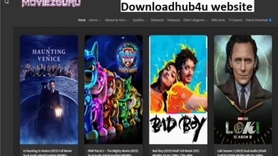 downloadhub4u website