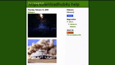 https downloadhub4u help