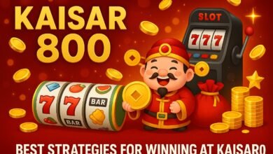 How Kaisar800 Changed