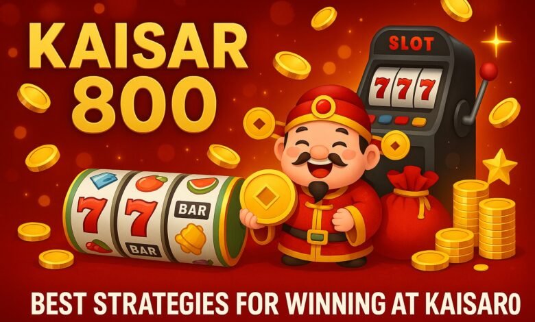 How Kaisar800 Changed